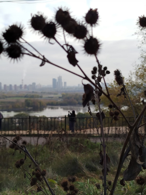 последнее с айфона 103