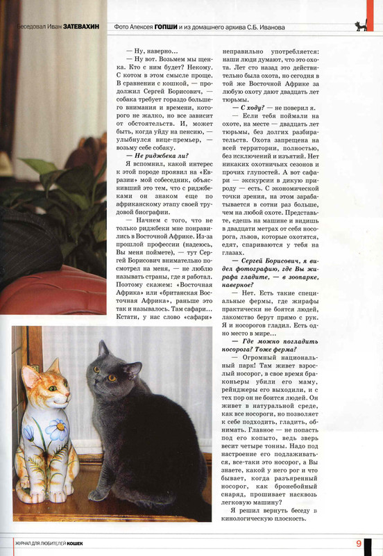 Друг кошек № 8 2009-10