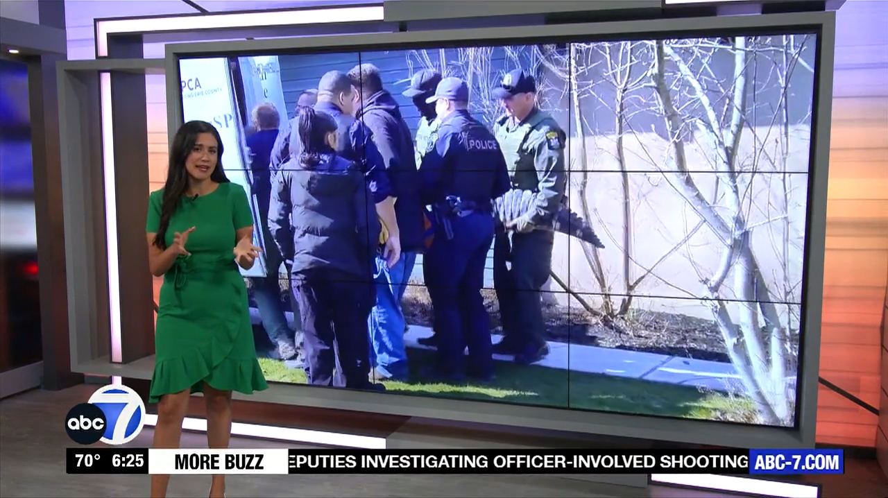 Abc7 More In The Morning Wkn 6Am Su 20240317 10001100-1.mp4_snapshot_21.52.126