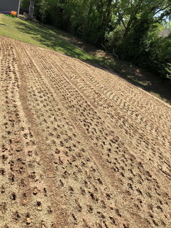 3FDEE35D-8C63-4886-9ACA-CA59E5C25BFE