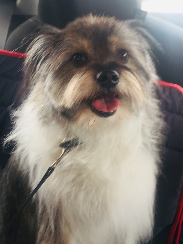 8E040B13-D16E-44A2-93A8-833378B362C0