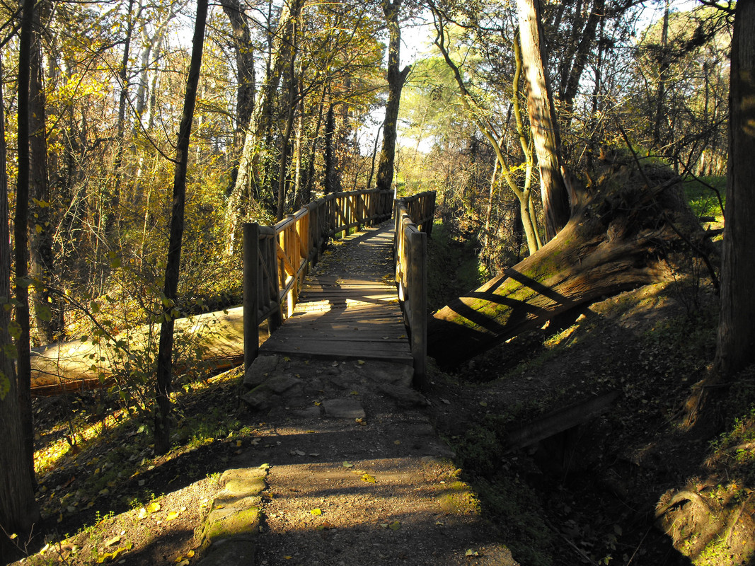 El Forestal-Villaviciosa de Odón_08