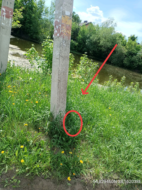 IMG 20260519 144125