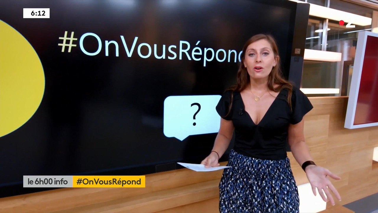 Lise Vogel 110820.mp4_snapshot_01.05_[2020.08.11_17.34.26]