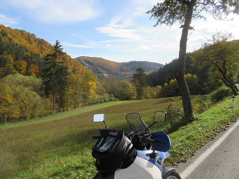 herbstwaldviertel_00004_20151024