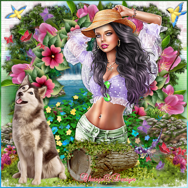 Image and video hosting by TiyPic