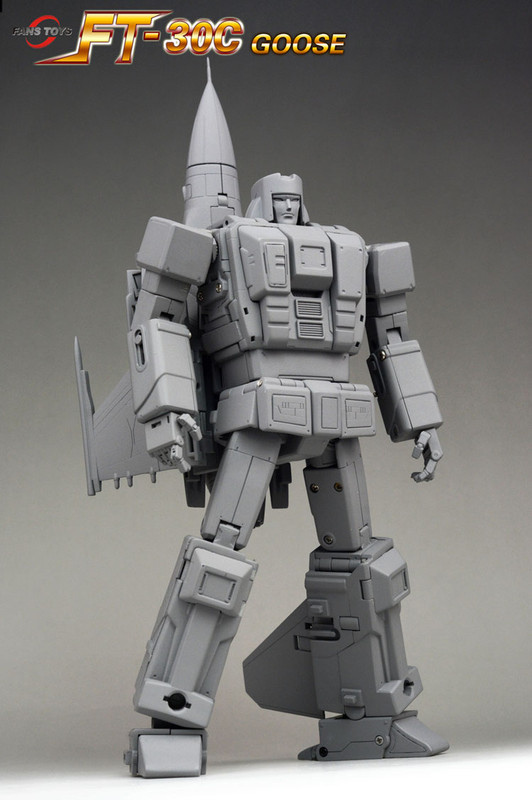 FT-30C-Goose-01