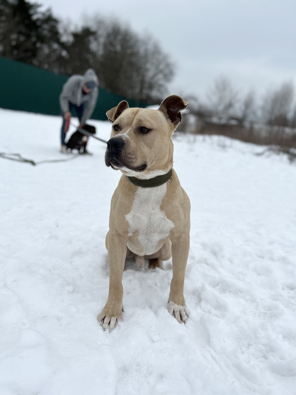 939F2E23-FB19-44B4-9084-508B78ED0897