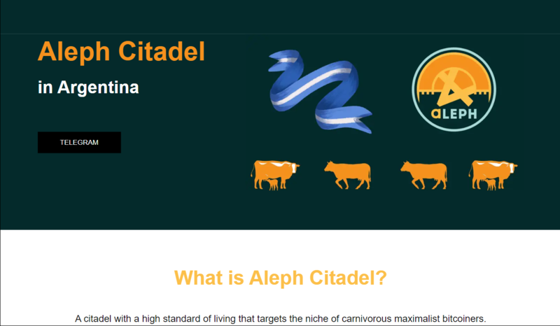 Aleph Citadel