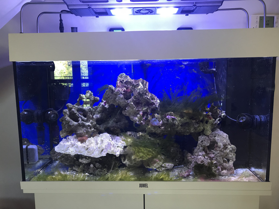 7DF19979-E7FB-4327-B7D9-755CBF78322C