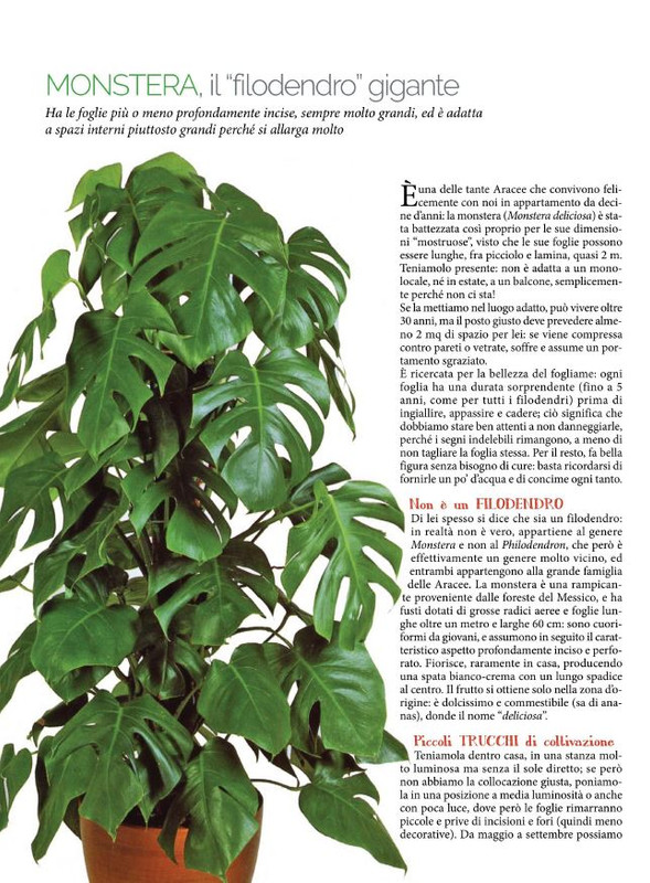 Pol Ver Lug 2021 (2)