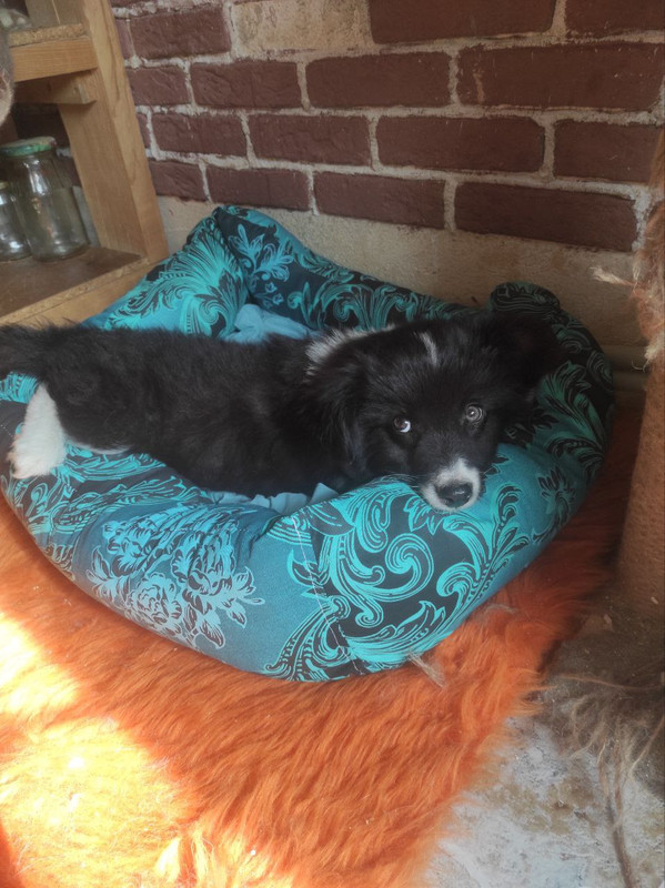 IMG_20230801_220728_093