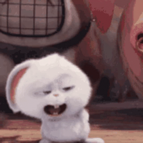the-secret-life-of-pets-snowball.gif