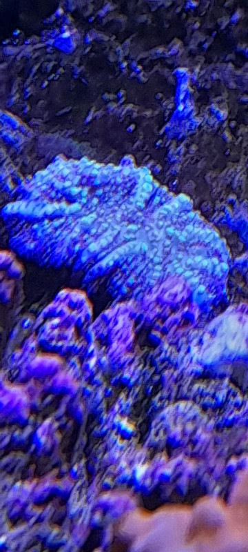 изображение_viber_2021-04-15_19-04-18