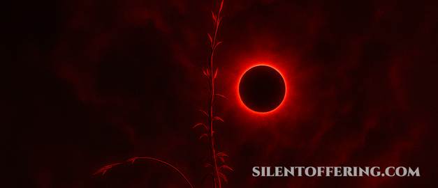 https://www.facebook.com/silentofferingofficial