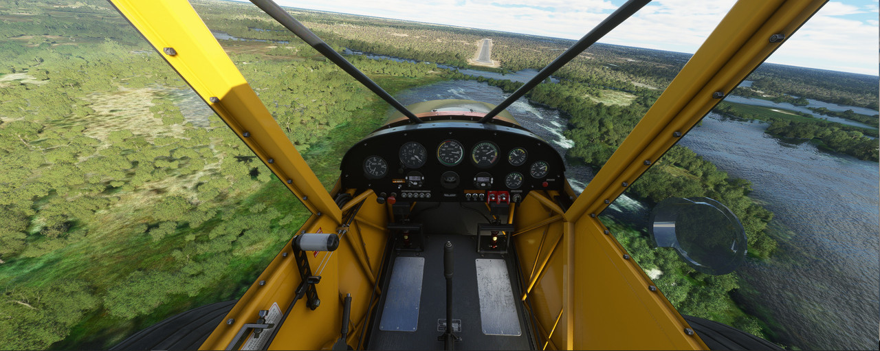 Savage-Cub-18.jpg