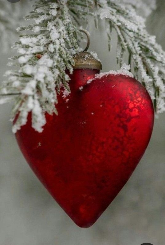 Screenshot_20240211_234356_Pinterest