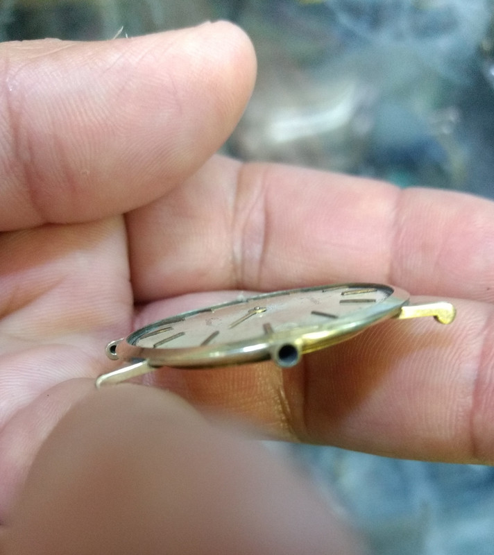 IMG_20190712_152921466~4