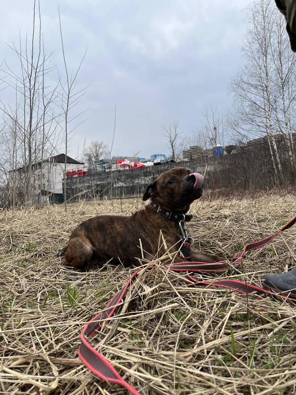 image-09-04-23-05-25-6 (1)