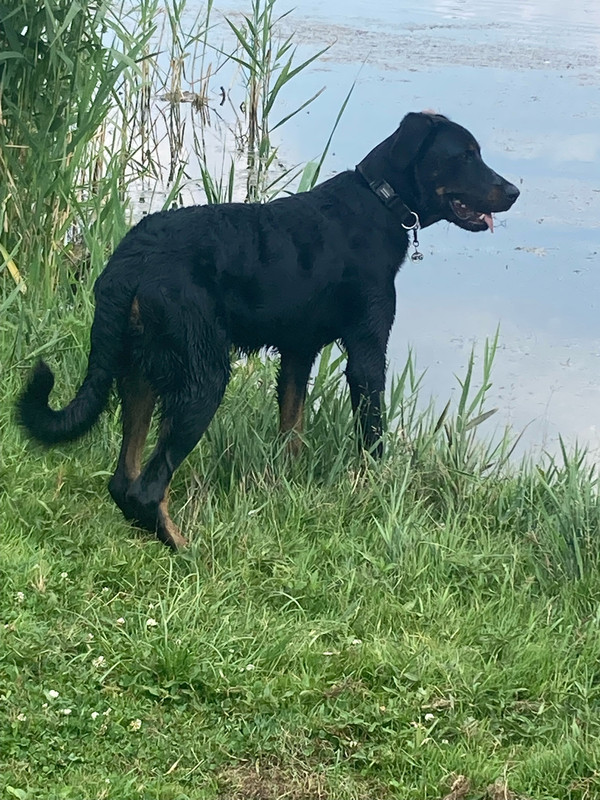 E79CCE9C-D3B9-49D6-8D85-58770B090CF1