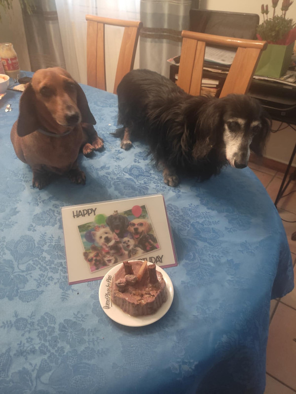 Messenger_creation_441330A0-0EE1-44E3-A04F-B6CAB48EADAB