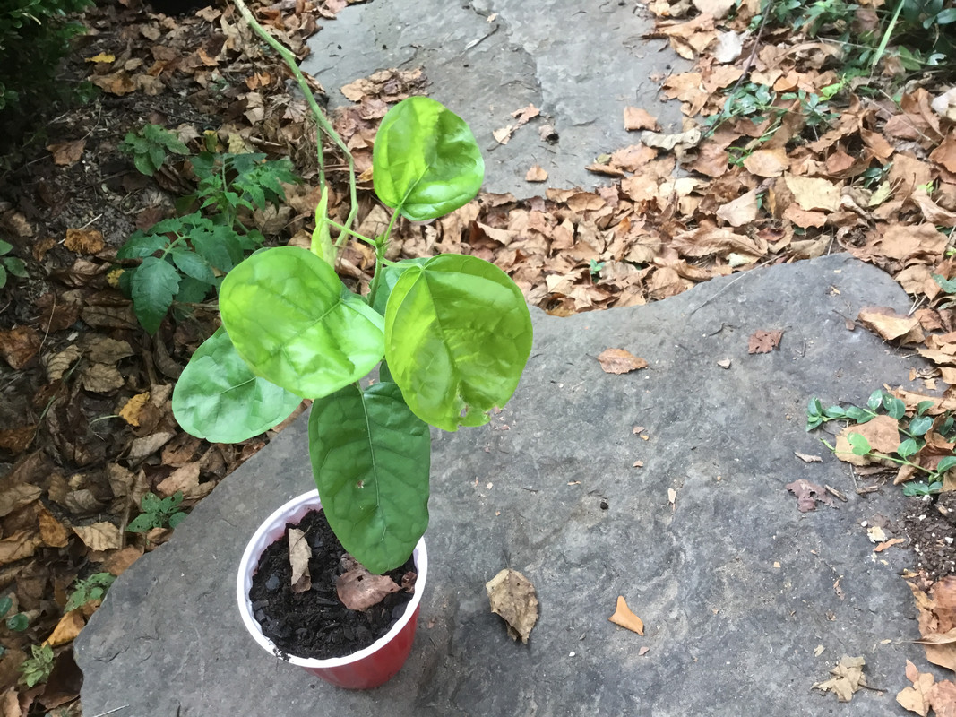 F963CE47-930E-4D47-975E-233B048357FD