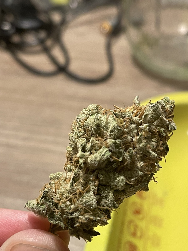 68986D23-C223-4642-B21B-D0E0B4A852FD