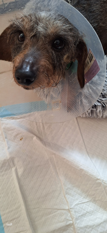 [Image: 20250223-140101.jpg]