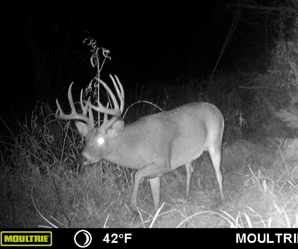 E0F3A1F3-3B4E-4A0C-B6C1-E6976CC12164