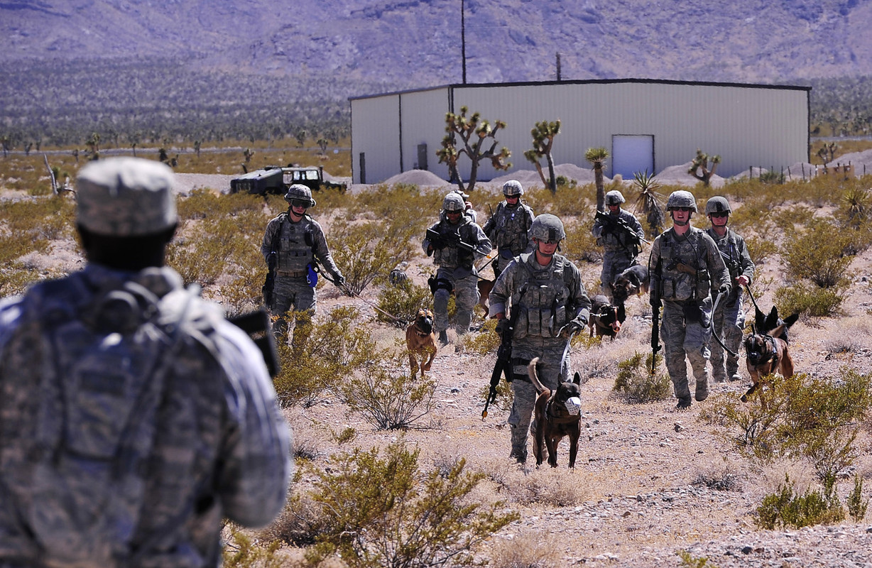 US ARMY K9 1st Brigade Combat Team (13)