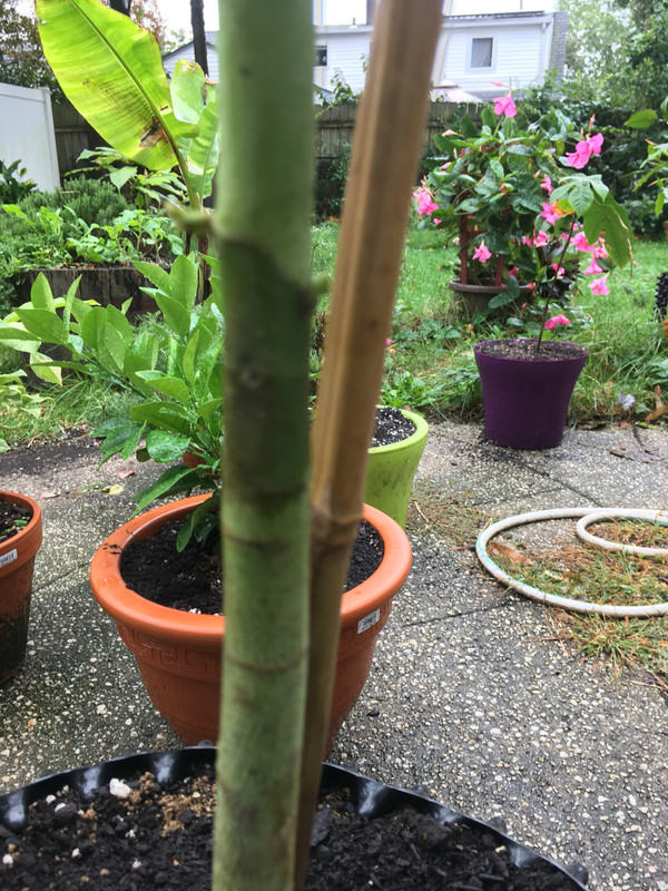 320D5012-AAEF-4916-AA10-A77BB5E41774