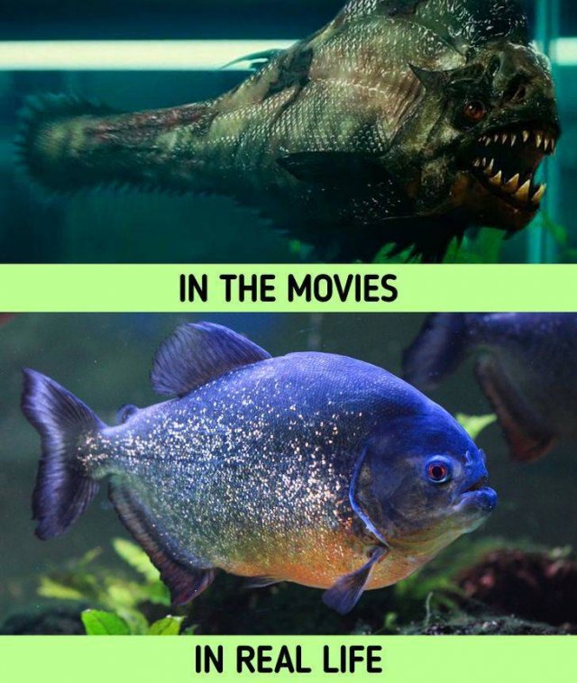movies-18