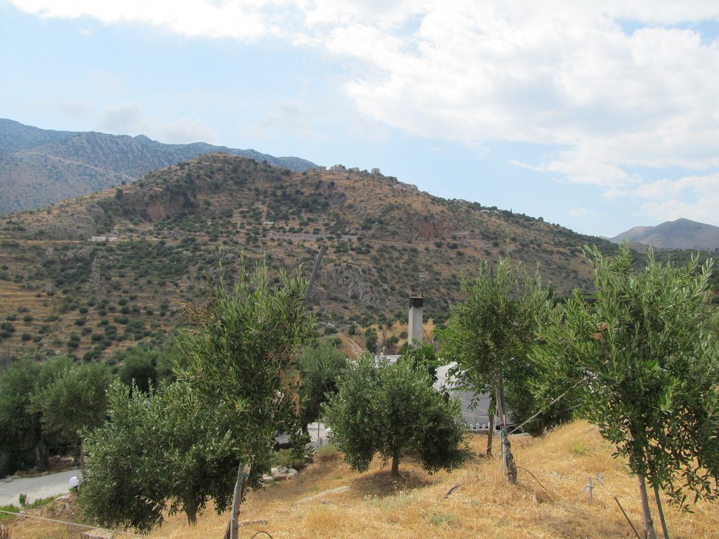 Slika