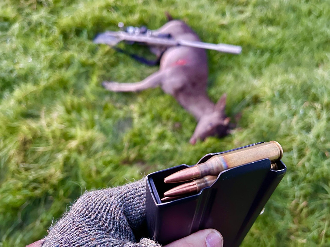 D3F524E3-10A7-4C69-836A-BF29431F0E47