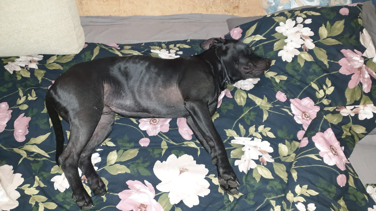 3B532CCF-FEA6-4E2B-911A-0696303F877B