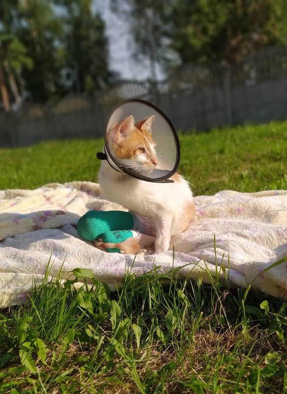 9BFE5EDC-2350-46F1-B5EA-9E705A64DB85