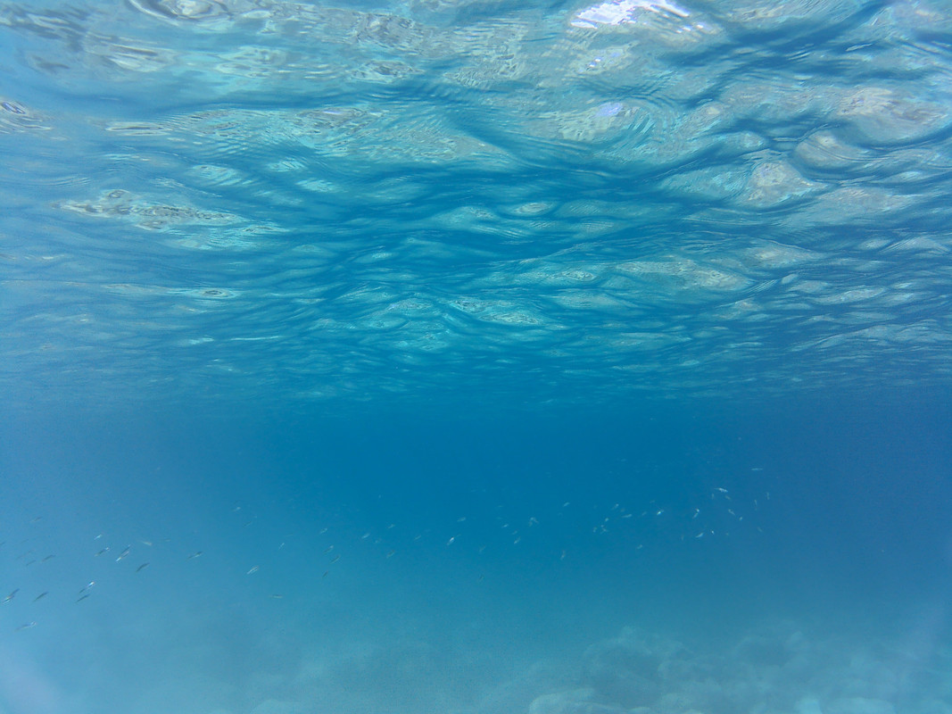 20160718_093616A