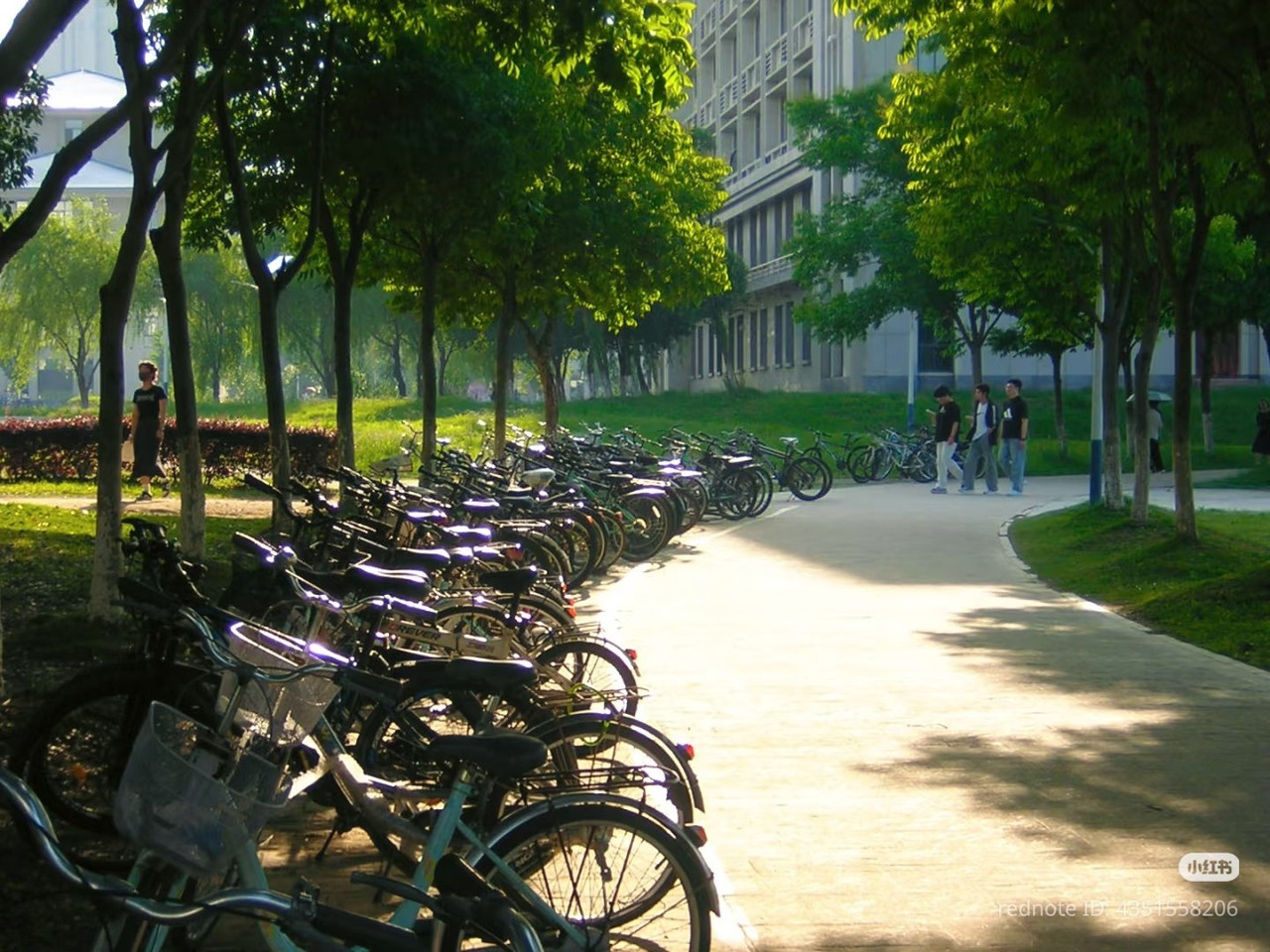 photo 2 2025 12 24 16 22 41