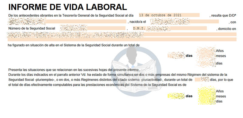 Informe de vida laboral en pluriactividad