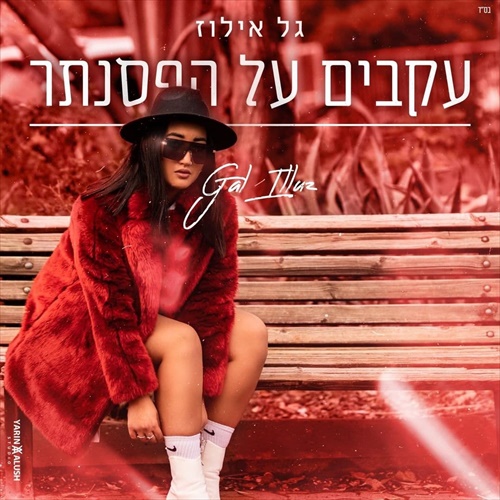 תמונה