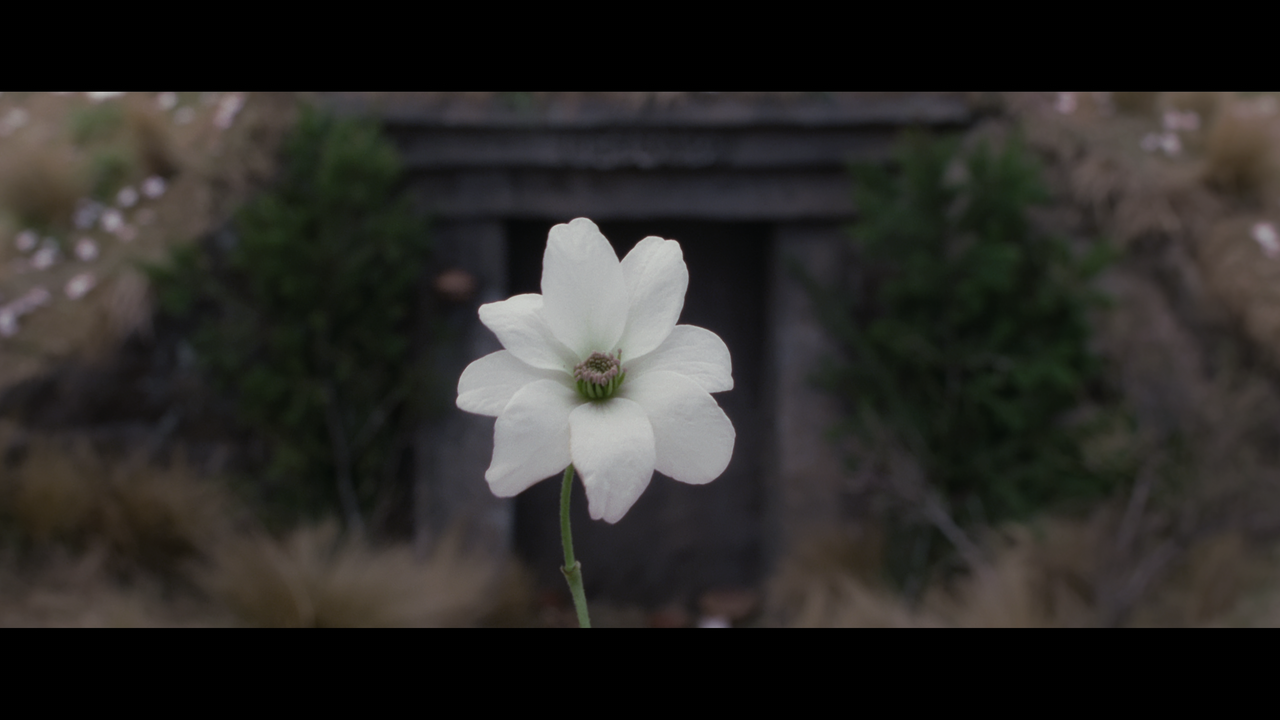 The Lord of the Rings- The Two Towers (EXT.) PT. 1.mkv_snapshot_01.25.44_[2020.12.08_18.17.53]