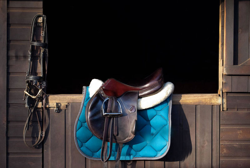 Horse Riding Accessories