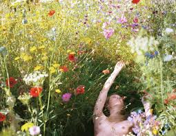images-36