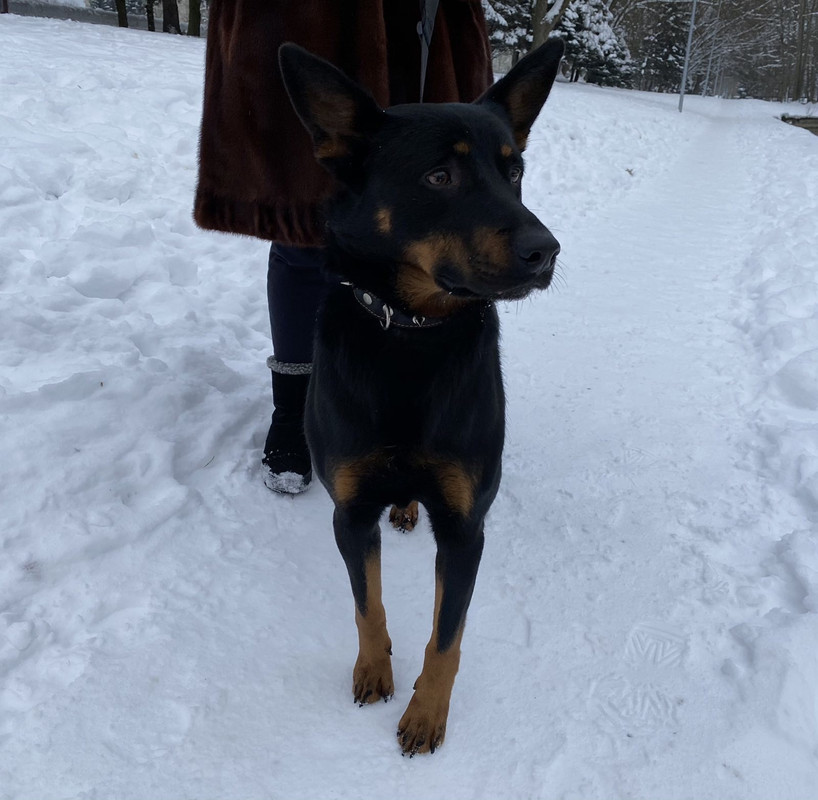 D236B10A-0F73-4929-BD9C-596FDA19841B