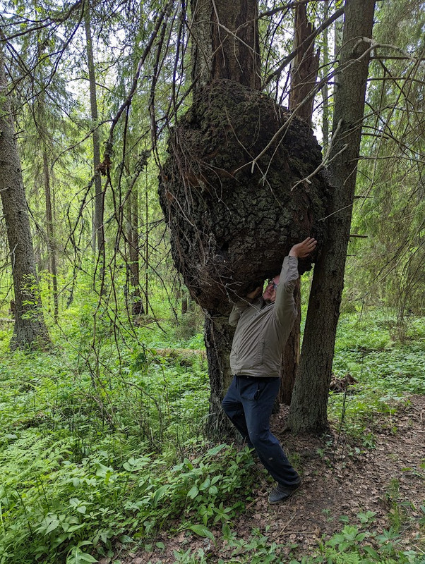 PXL_20230603_115820853