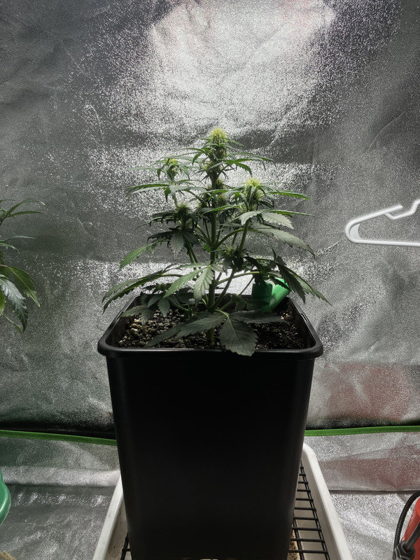 8374B874-8B15-40D2-A13D-4756869CB3DF