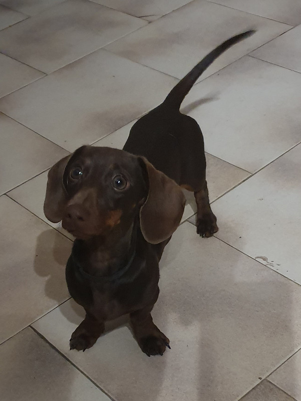 [Image: 20210430-211536.jpg]