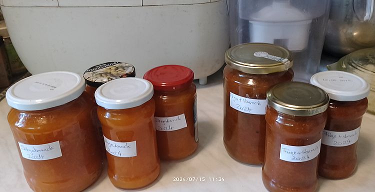 https://i.postimg.cc/xTX5tt6F/sb-fugesb-20240715.jpg