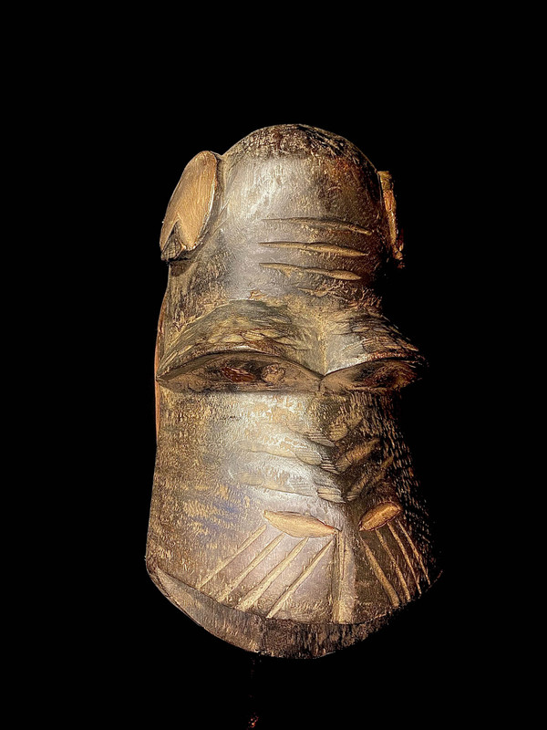 large image 4