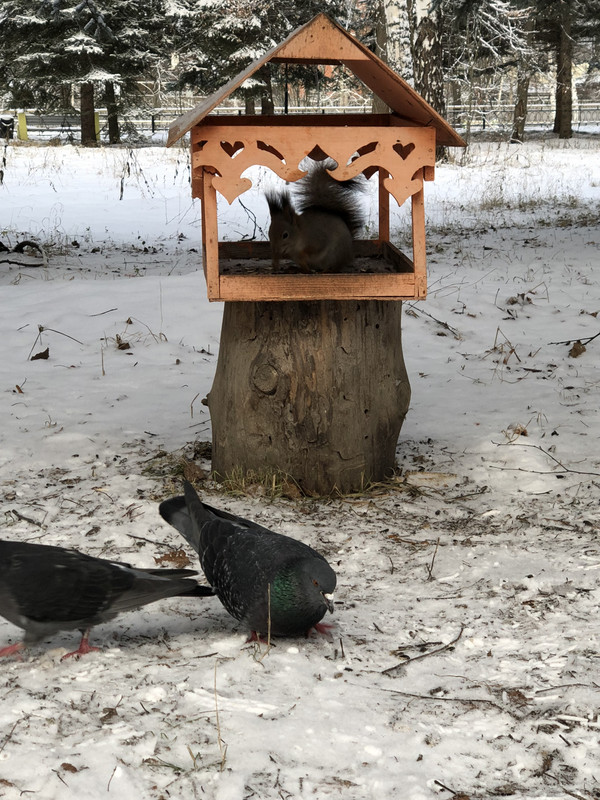 5A24D3D7-5EFF-4F2D-BA19-434DE1694336